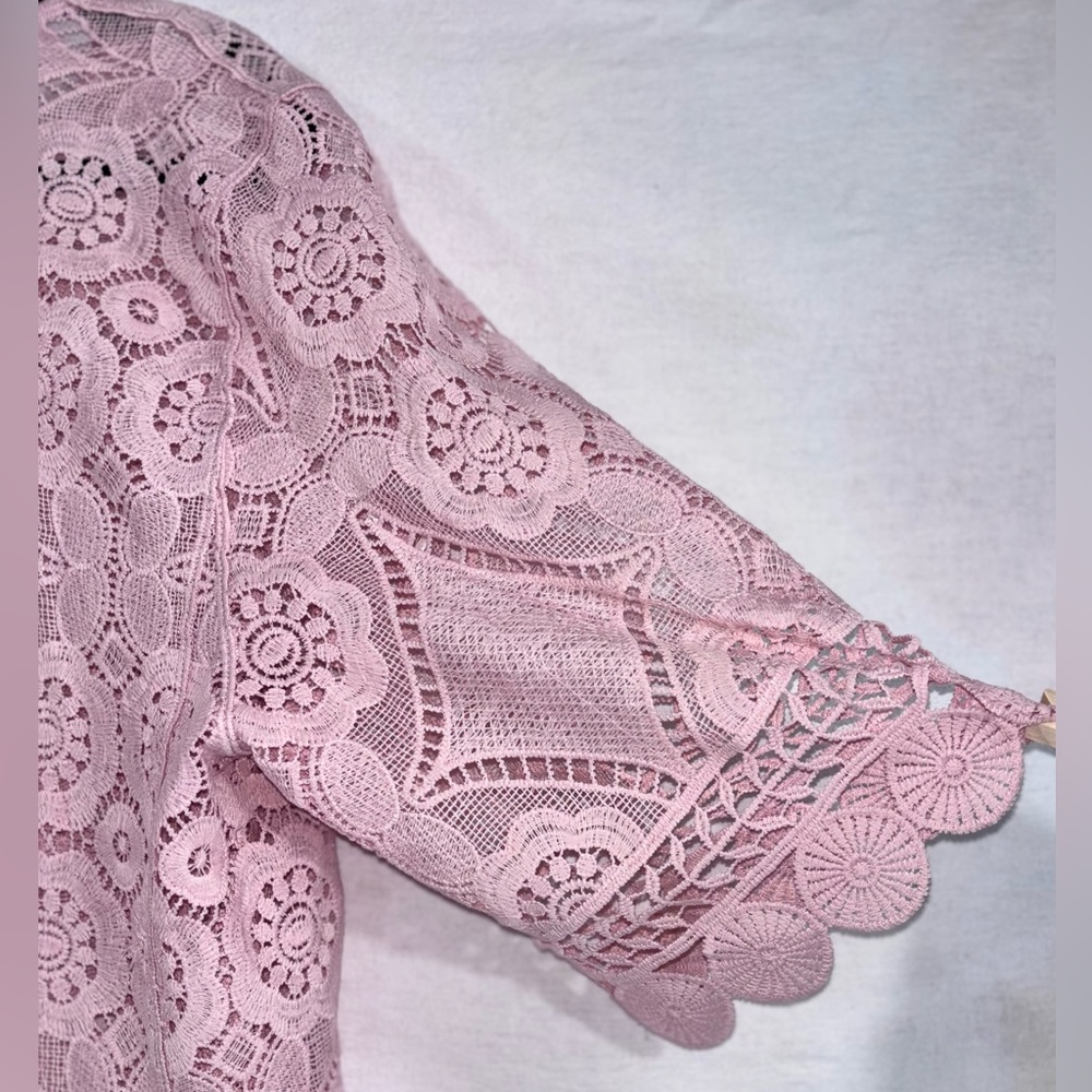 Rabbit Rabbit Rabbit Delicate Pink Lace Blouse - Picture 12 of 15